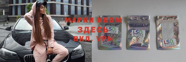 дживик Надым