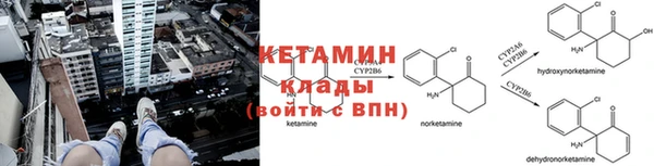 дживик Надым