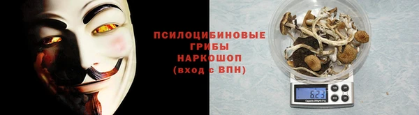дживик Надым