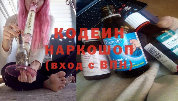 дживик Надым