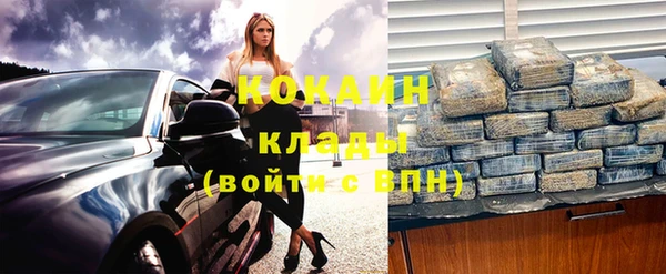 дживик Надым