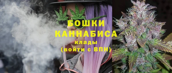 дживик Надым