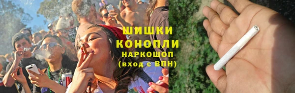 дживик Надым