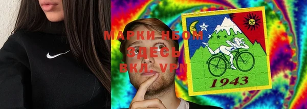дживик Надым