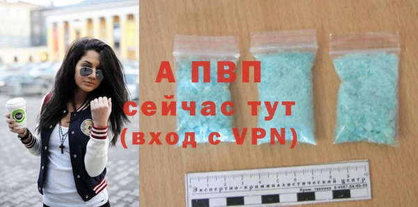 дживик Надым