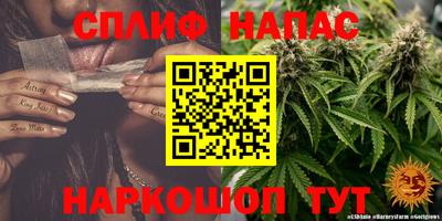 соль ск Бийск