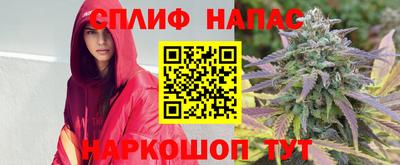 соль ск Бийск