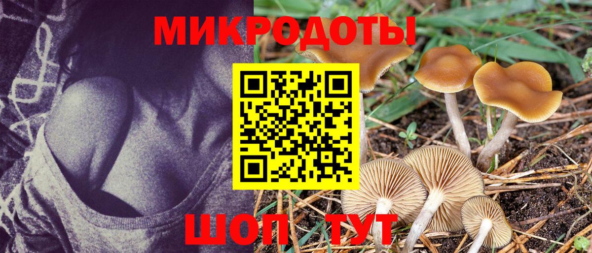 Галлюциногенные грибы ЛСД Краснокаменск