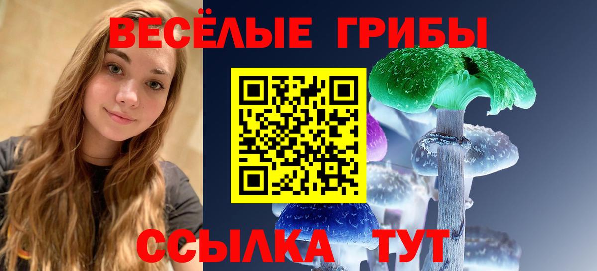 Галлюциногенные грибы MAGIC MUSHROOMS Краснокаменск