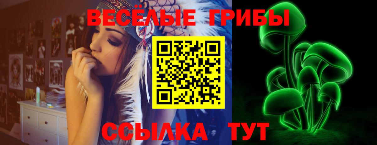 Краснокаменск  Галлюциногенные грибы Psilocybe  Псилоцибиновые грибы GOLDEN TEACHER  Вход с VPN 